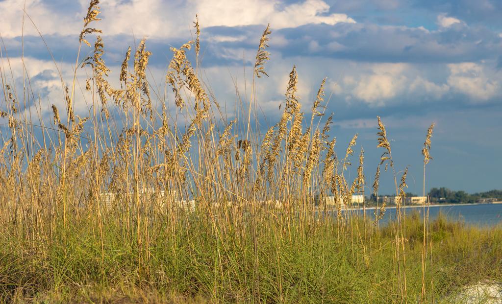 Minorga On The Key By Beachside Management Siesta Key Extérieur photo